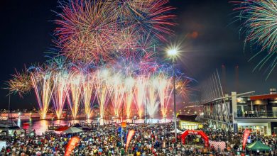 Australia Day Fireworks in Nowra 2025