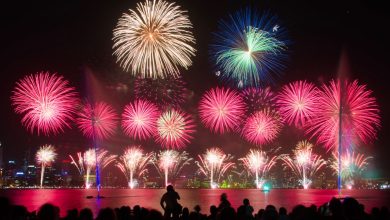 Australia Day Fireworks in Tamworth 2025