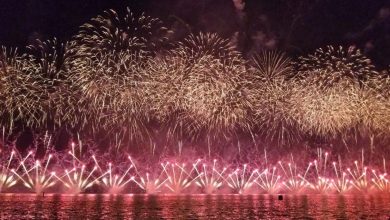 Australia Day Fireworks in Wagga Wagga 2025