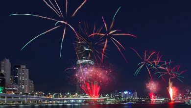 Australia day fireworks frankston 2025